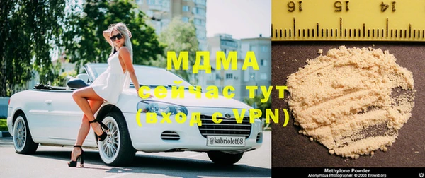 индика Алзамай