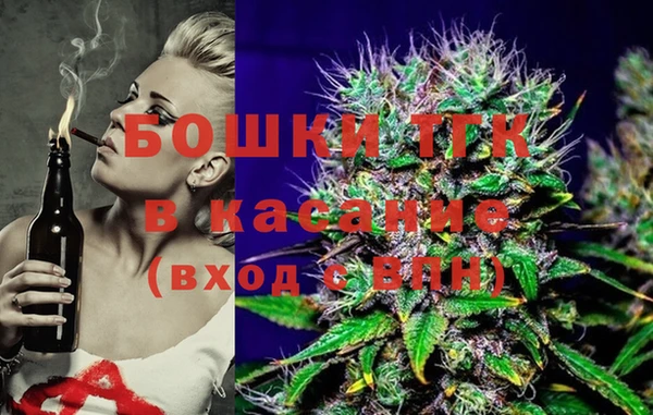 индика Алзамай