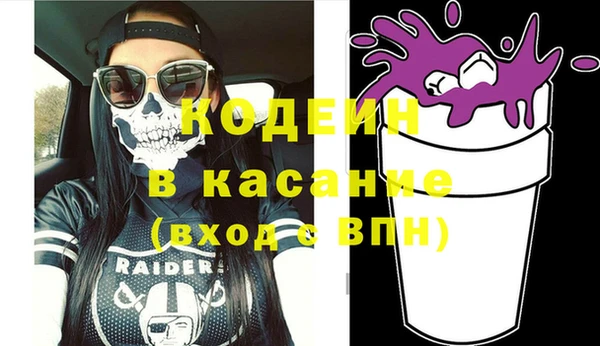 индика Алзамай