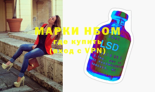 индика Алзамай