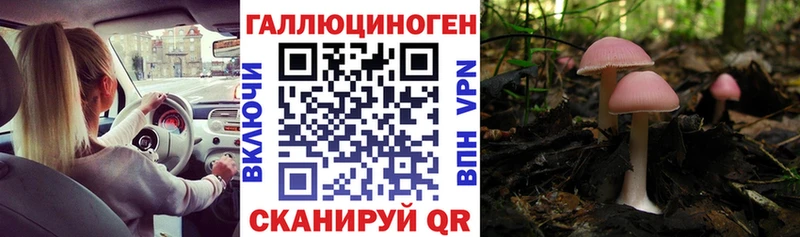 Псилоцибиновые грибы Cubensis  наркошоп  darknet телеграм  Нытва 